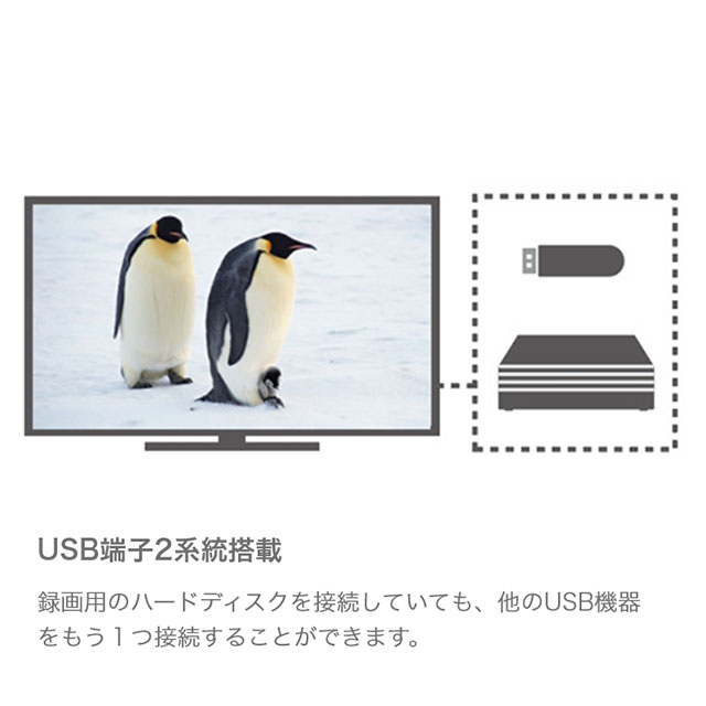 シャープ　デジタルハイビジョン液晶テレビ24型 ホワイト 2T-C24DE(W)