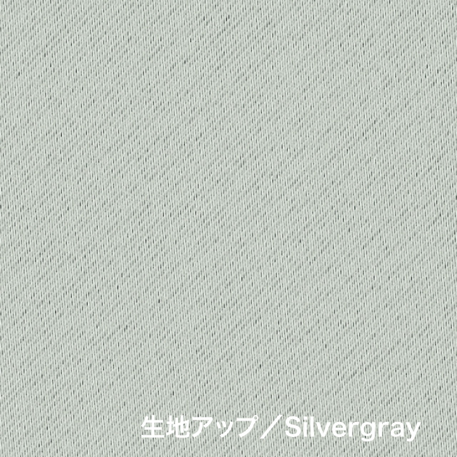 カーテン　ベルーイ シルバーグレー 200cm